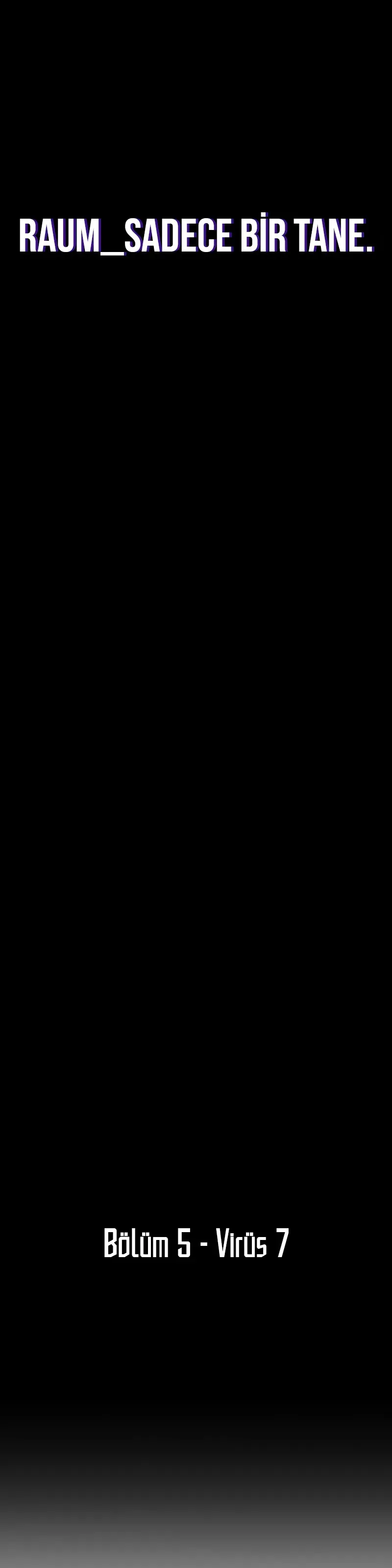 Sayfa 5