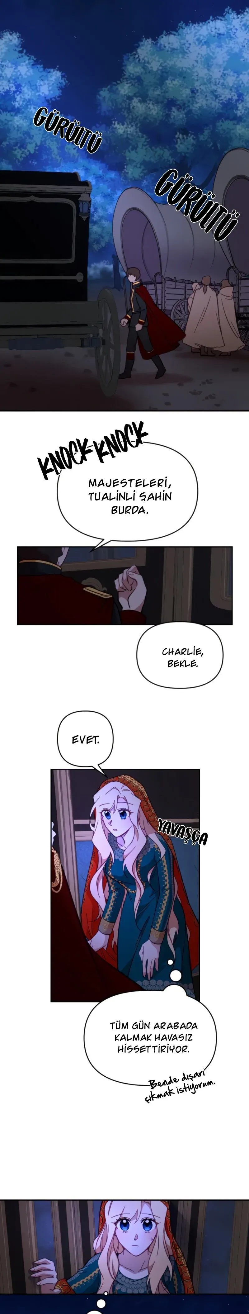 Sayfa 5