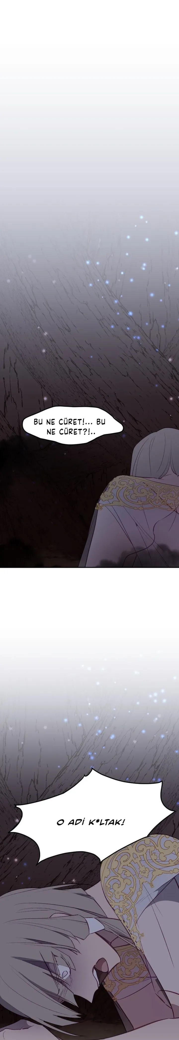 Sayfa 2