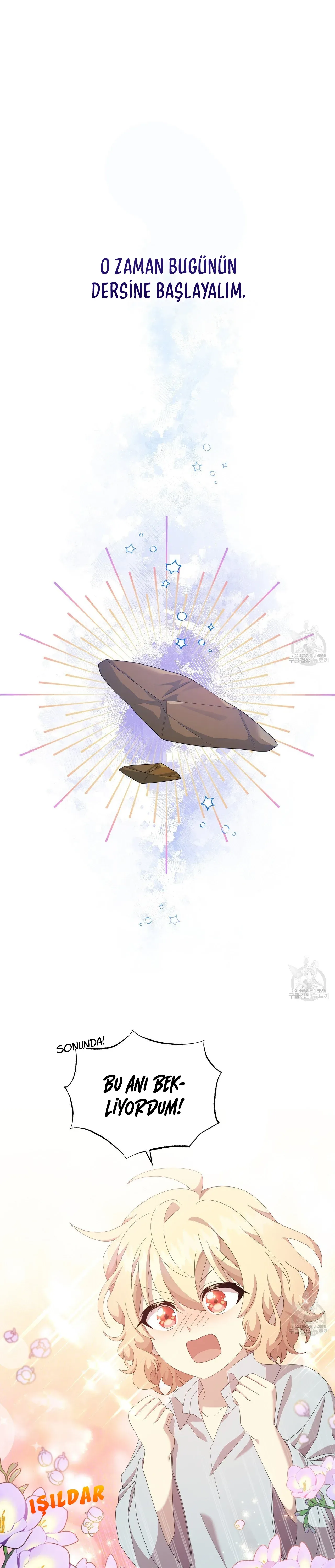 Sayfa 1