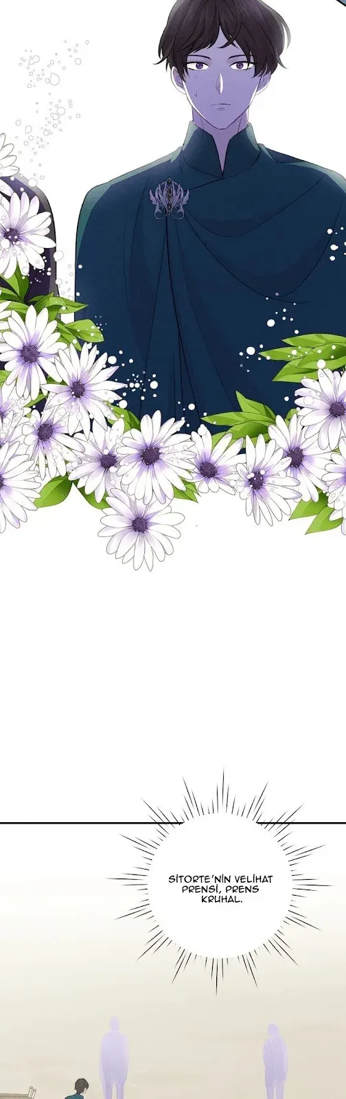 Sayfa 5