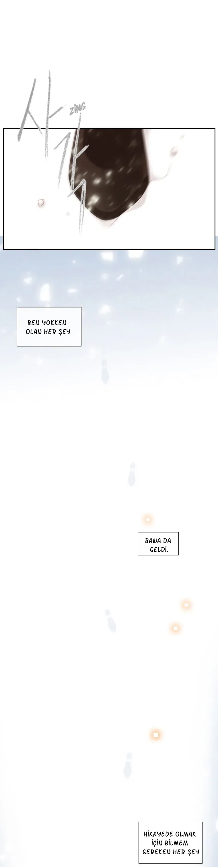 Sayfa 5