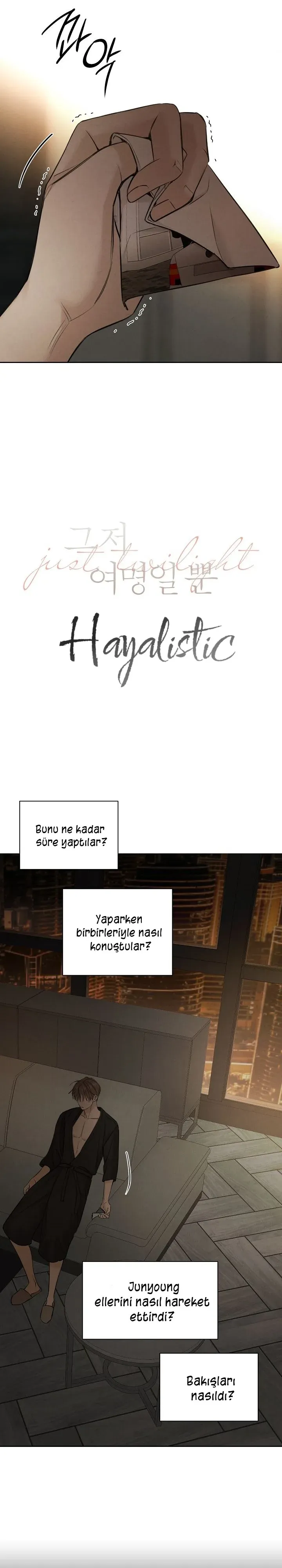 Sayfa 3