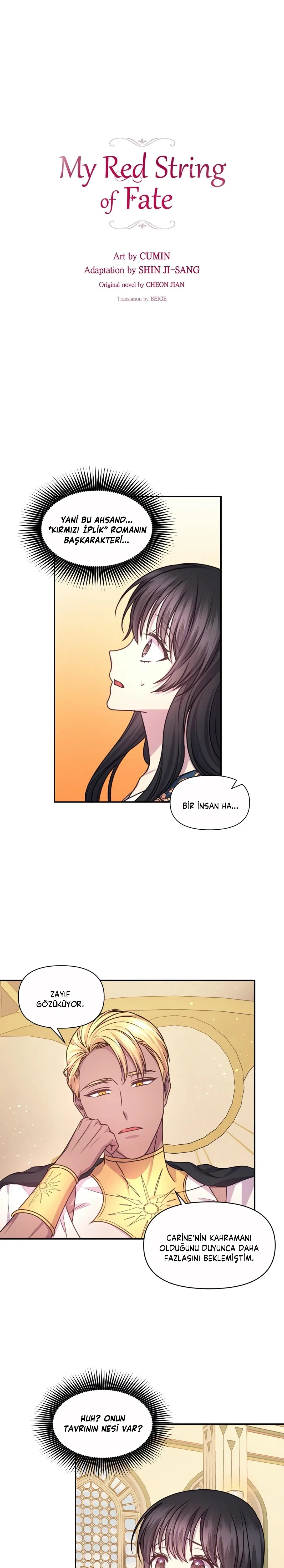 Sayfa 1