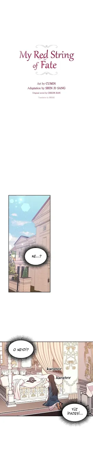 Sayfa 1