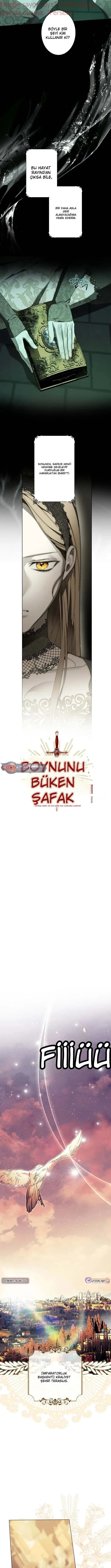 Sayfa 5