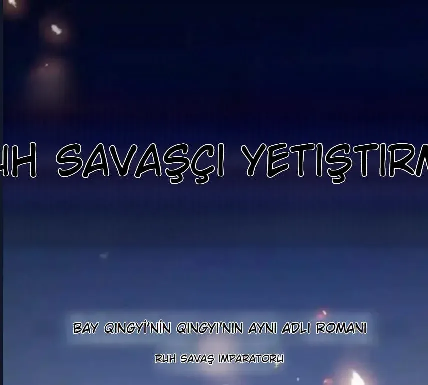 Sayfa 1