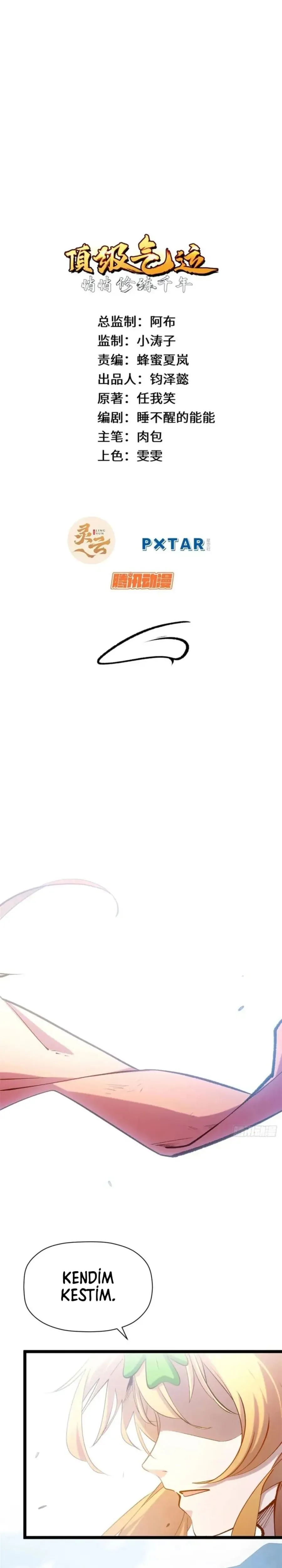 Sayfa 1