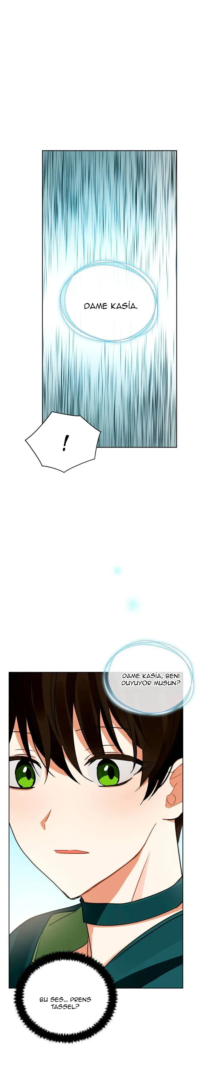 Sayfa 6