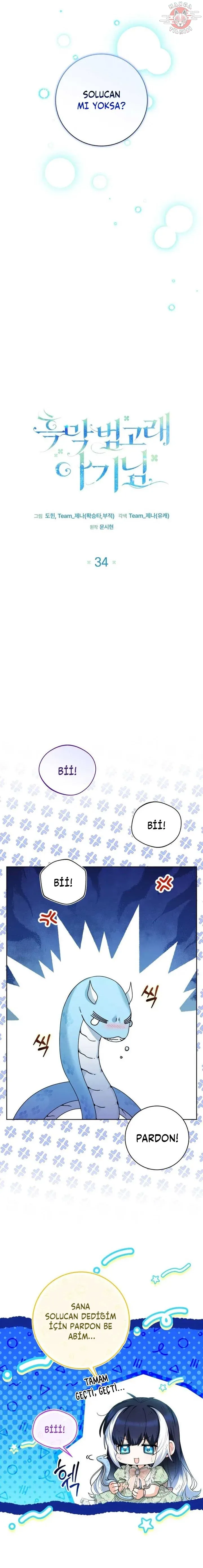 Sayfa 6