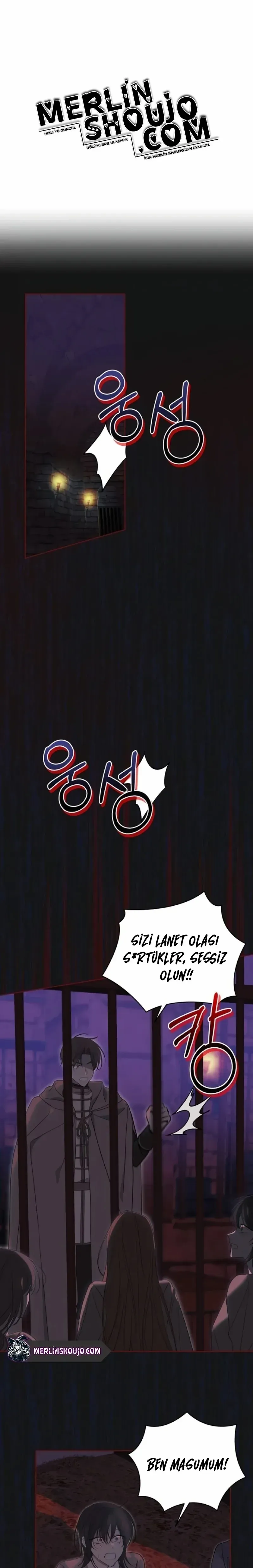 Sayfa 1