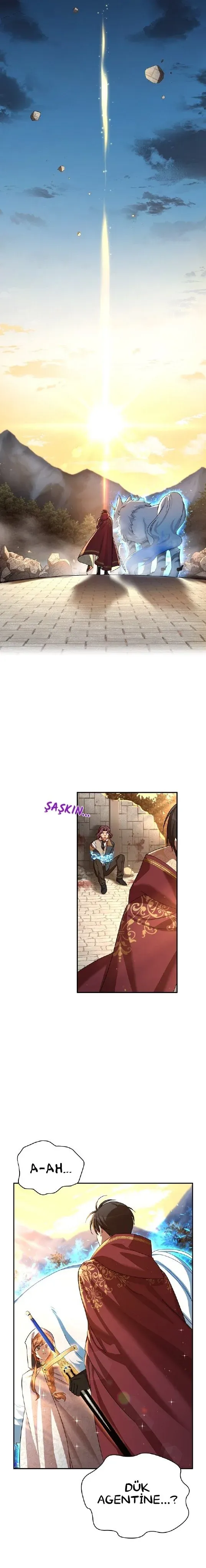 Sayfa 1