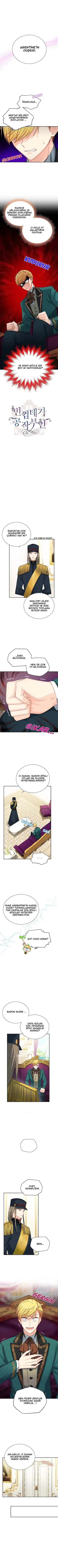 Sayfa 1