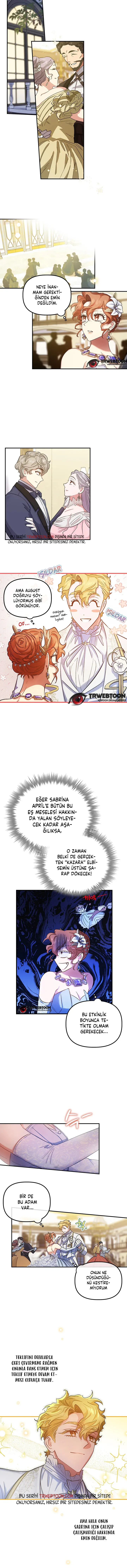Sayfa 5