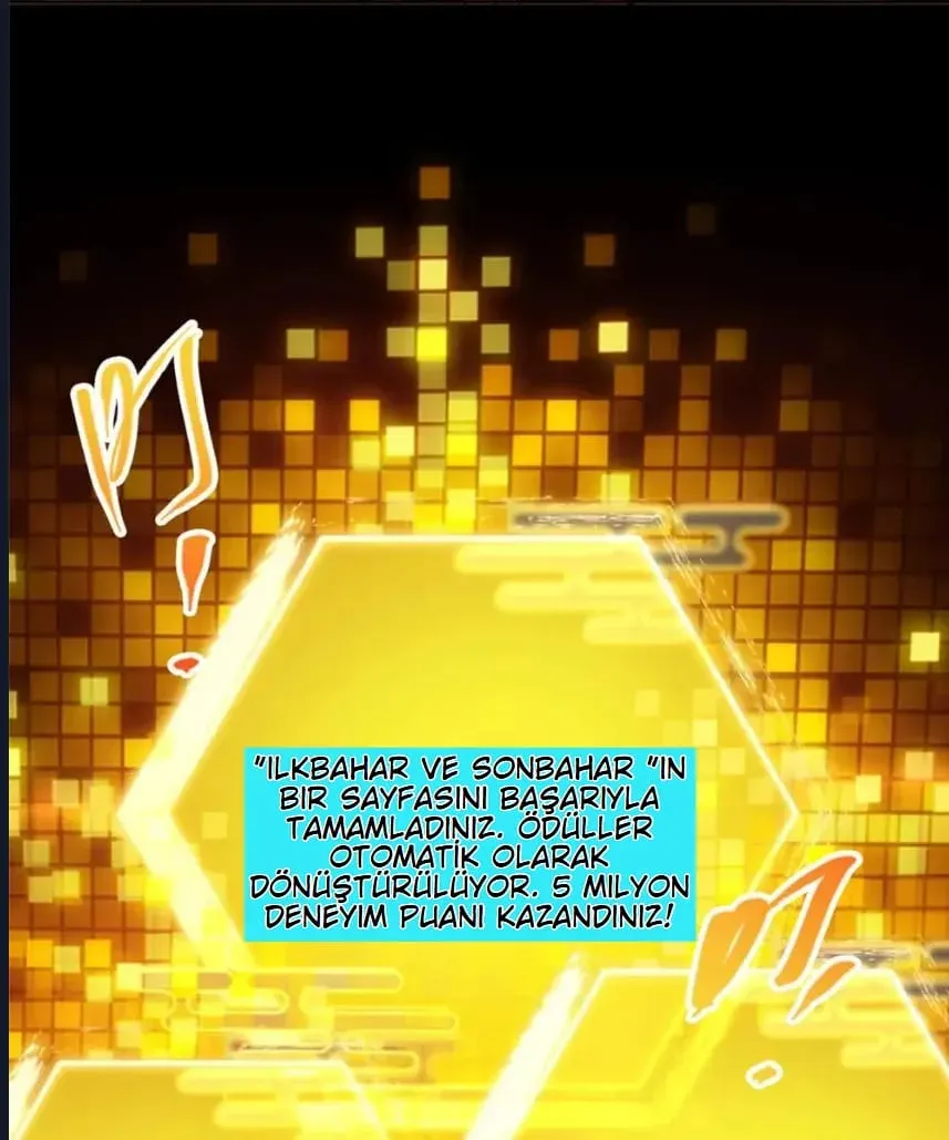 Sayfa 5