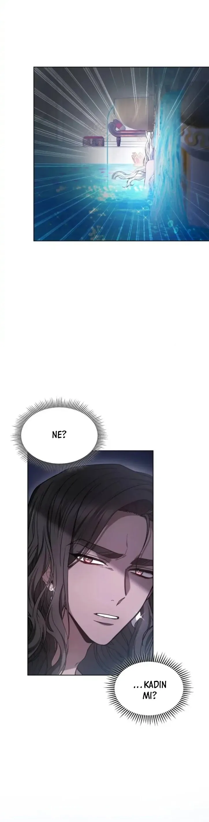 Sayfa 4