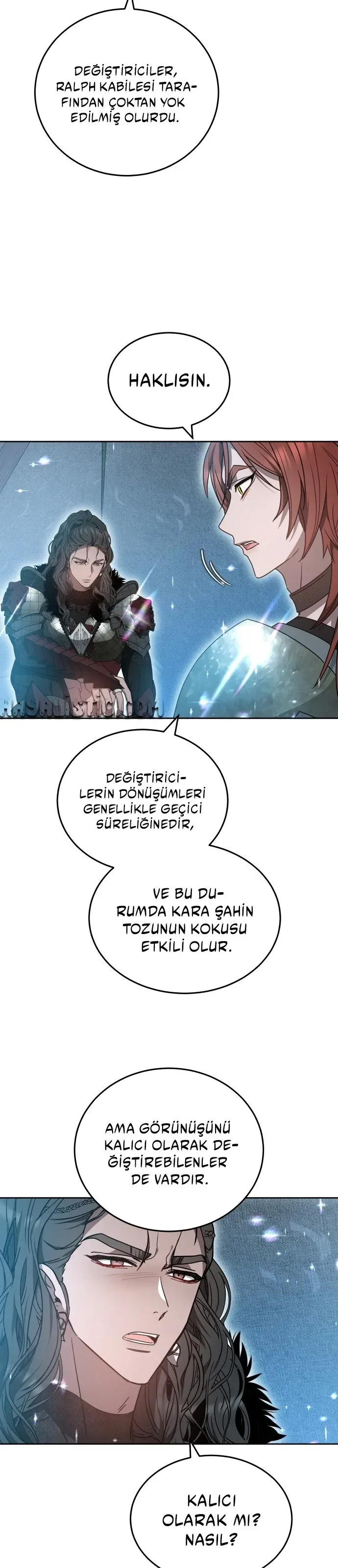 Sayfa 4