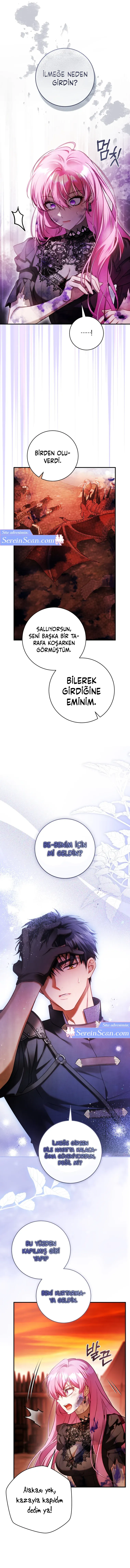 Sayfa 6