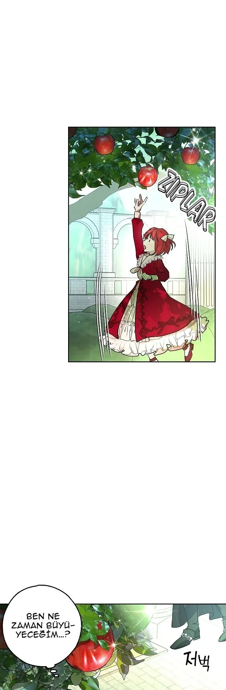Sayfa 6