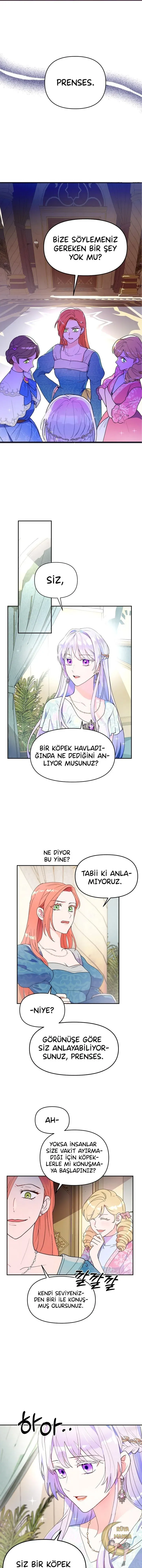 Sayfa 1