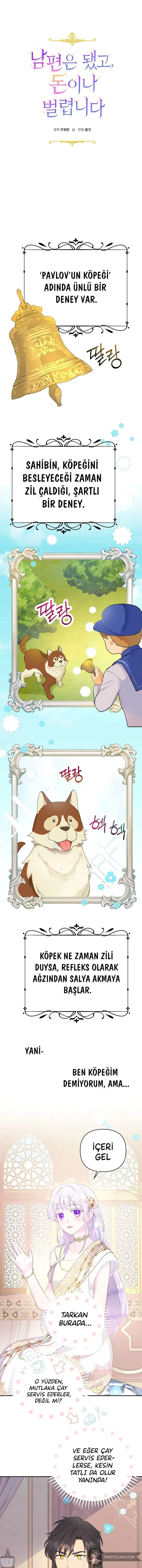 Sayfa 1