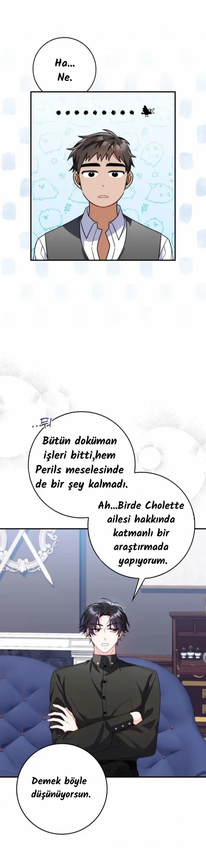 Sayfa 2
