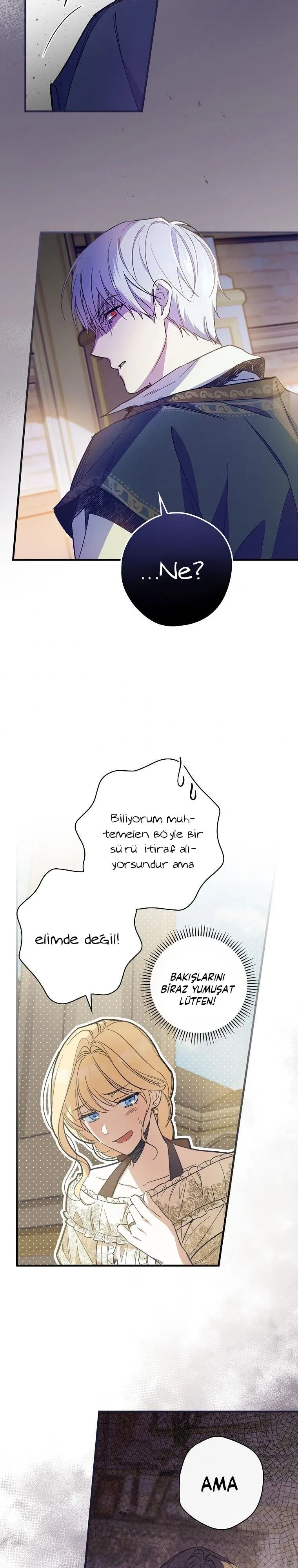 Sayfa 4