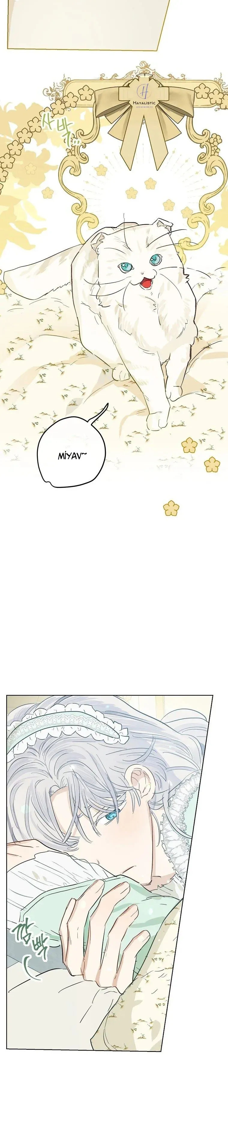 Sayfa 5