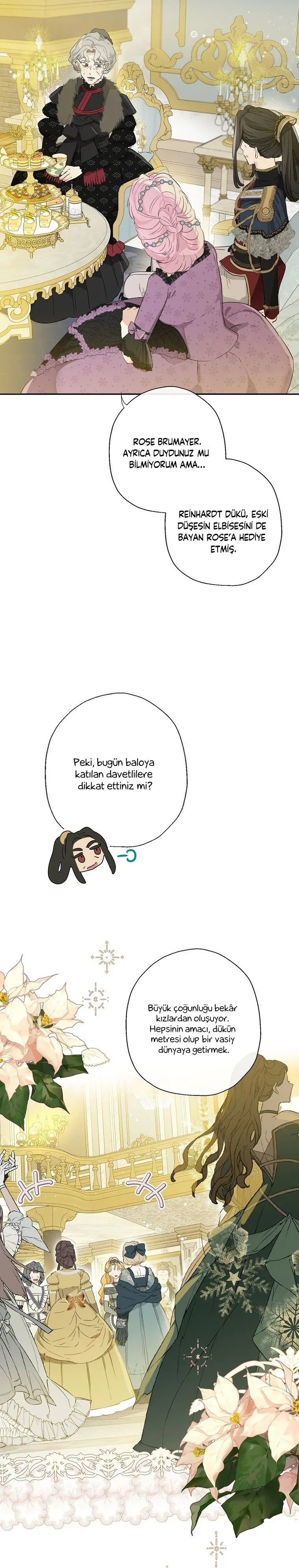 Sayfa 5