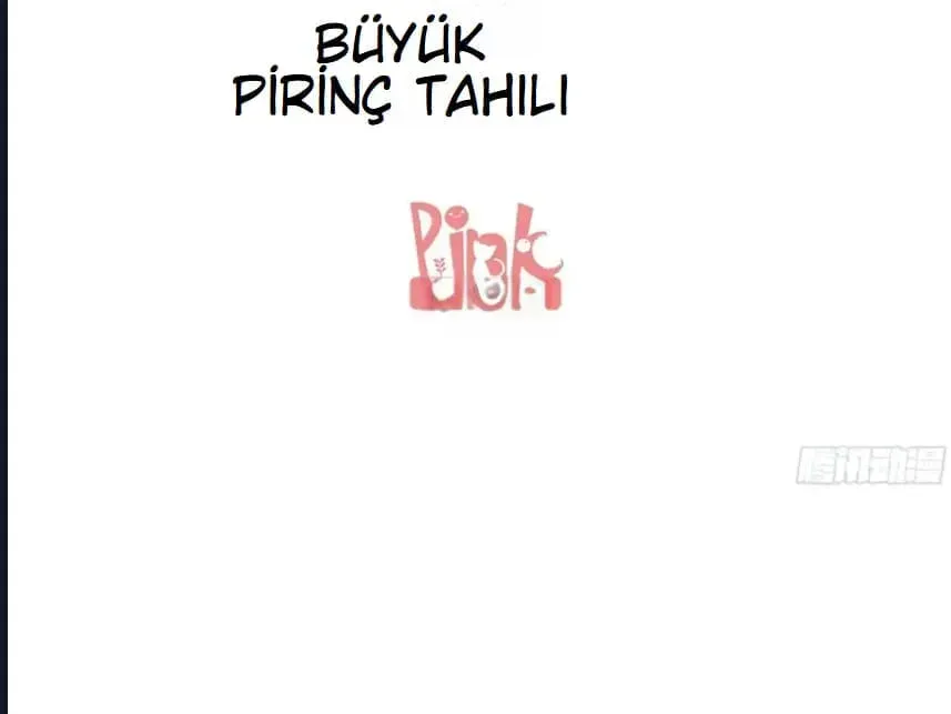 Sayfa 3