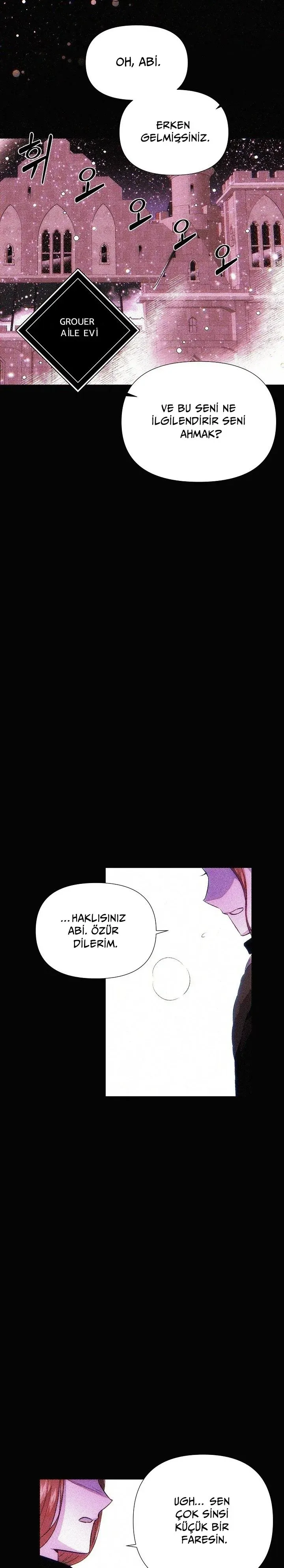 Sayfa 3