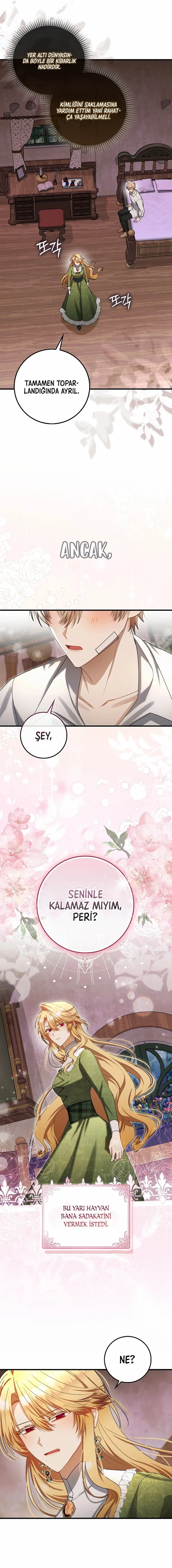 Sayfa 3
