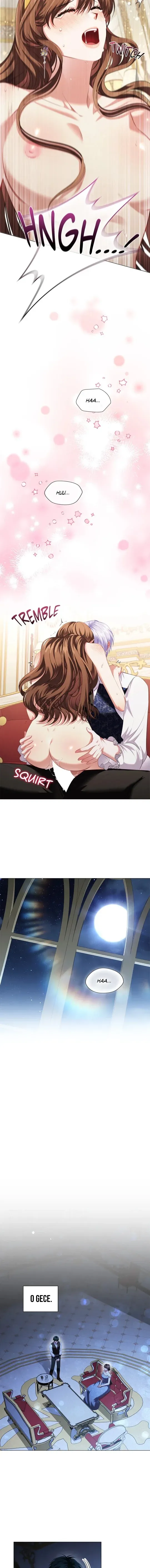 Sayfa 6