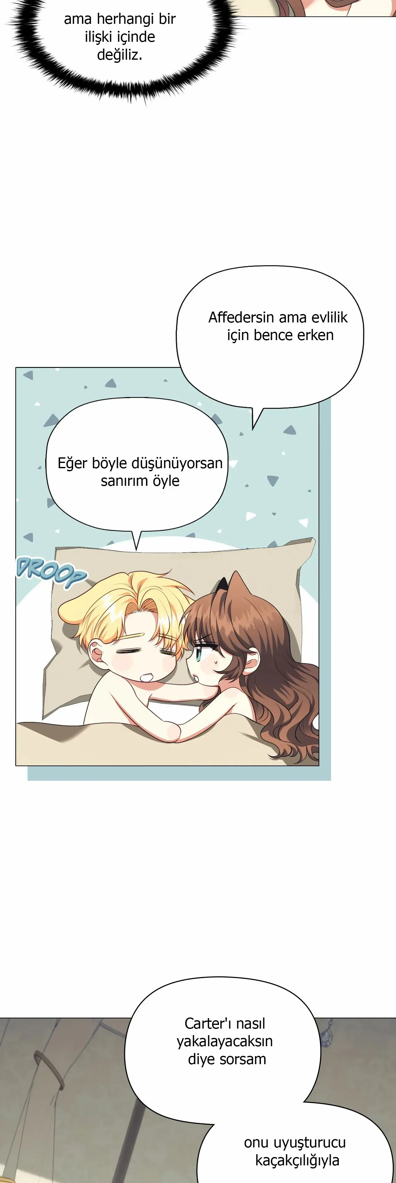 Sayfa 2