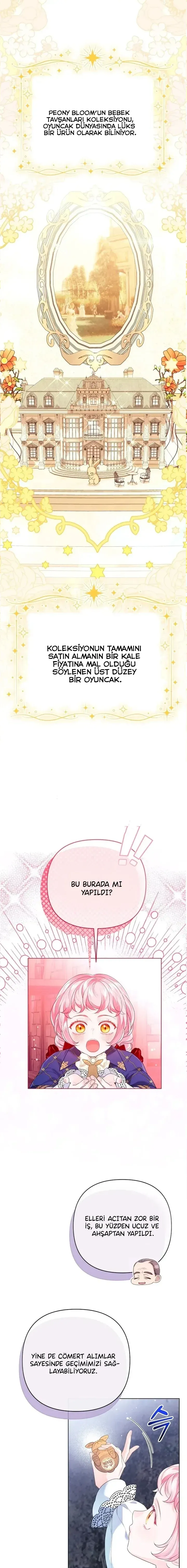 Sayfa 6