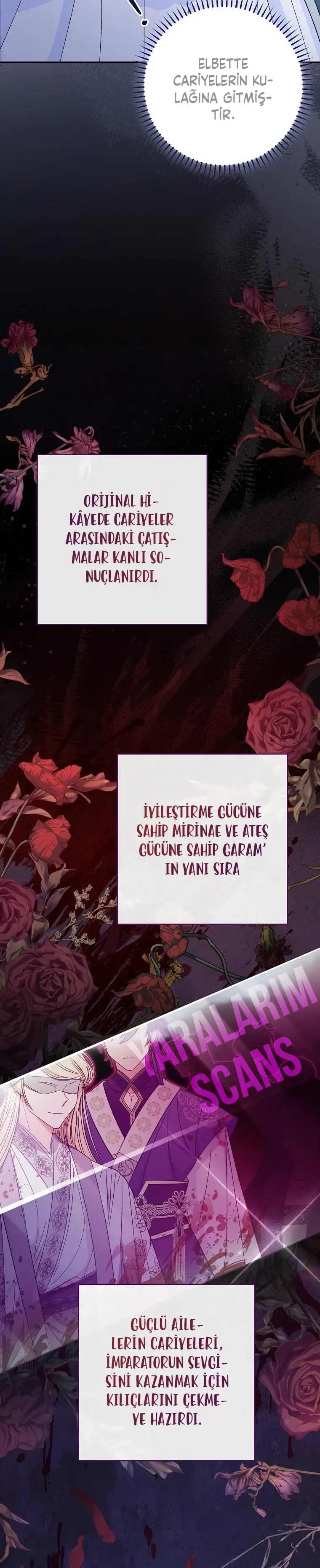 Sayfa 6