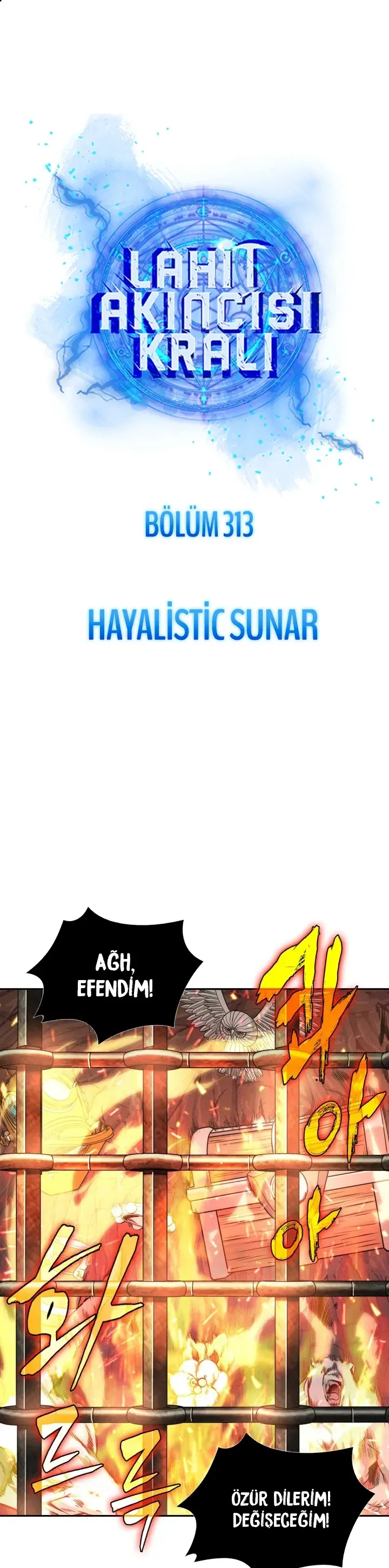 Sayfa 2