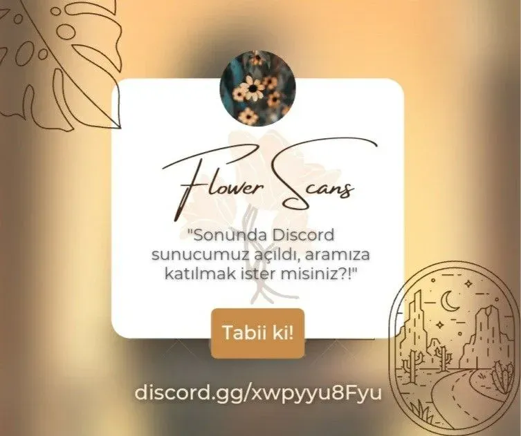 Sayfa 1