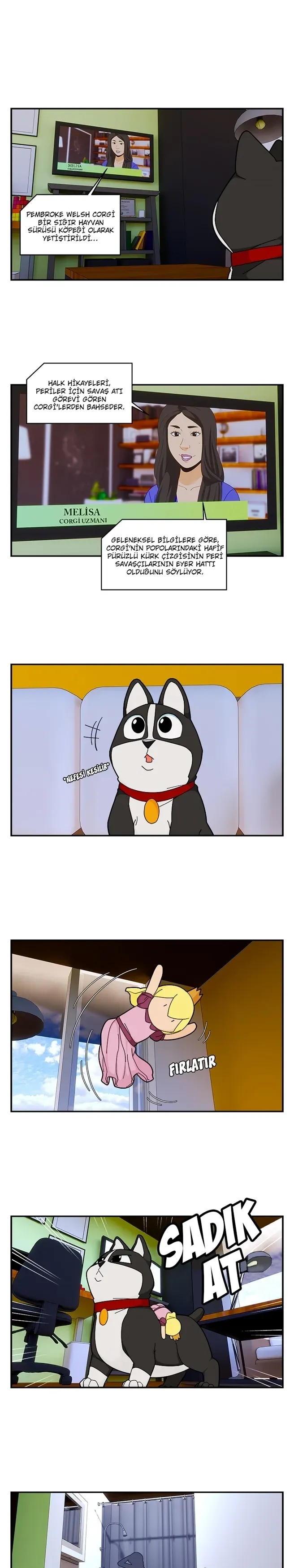 Sayfa 4