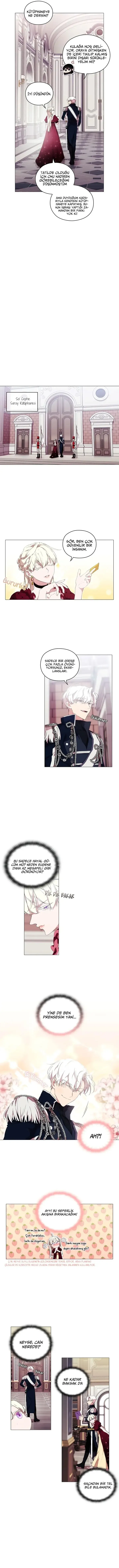 Sayfa 6