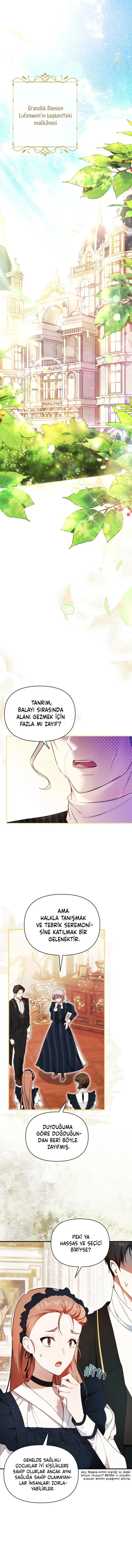 Sayfa 2