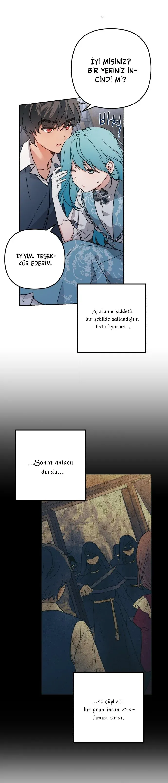 Sayfa 5