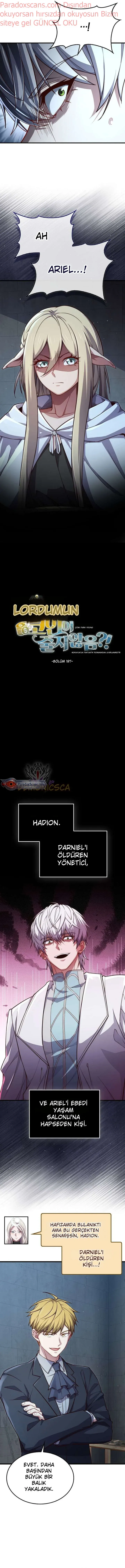 Sayfa 5