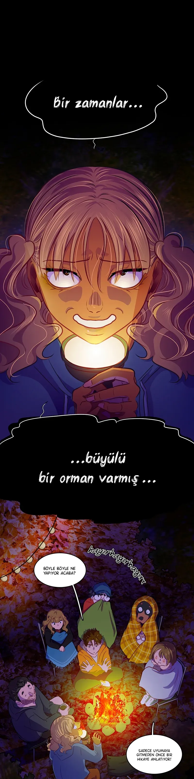 Sayfa 2