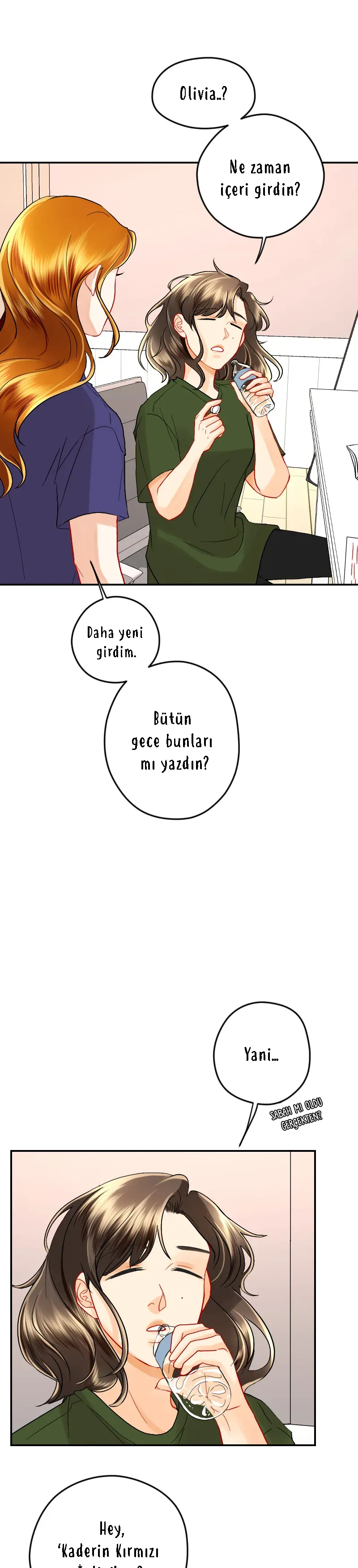 Sayfa 2