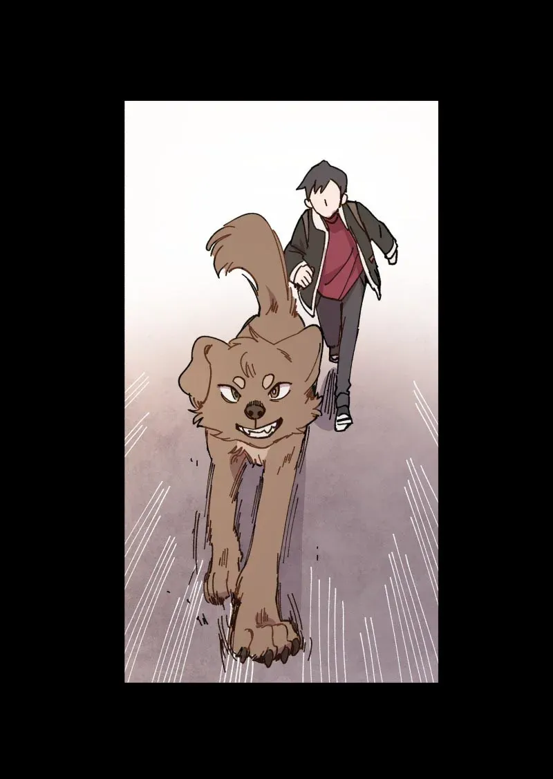 Sayfa 4