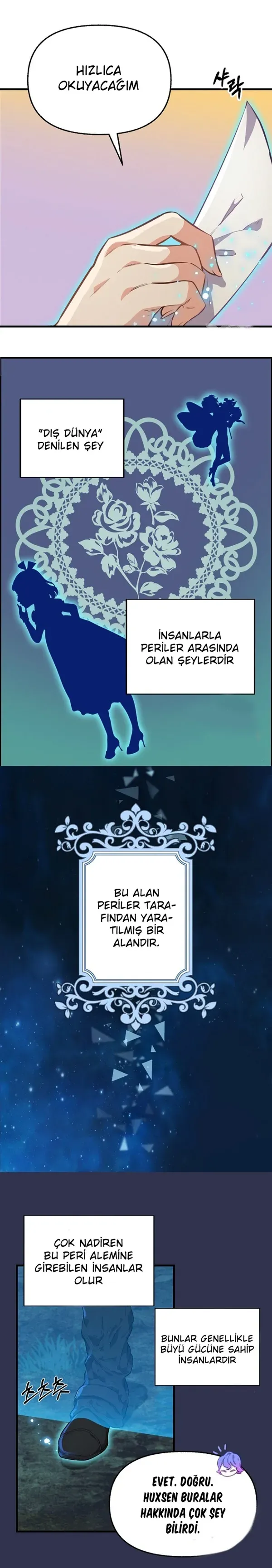Sayfa 5