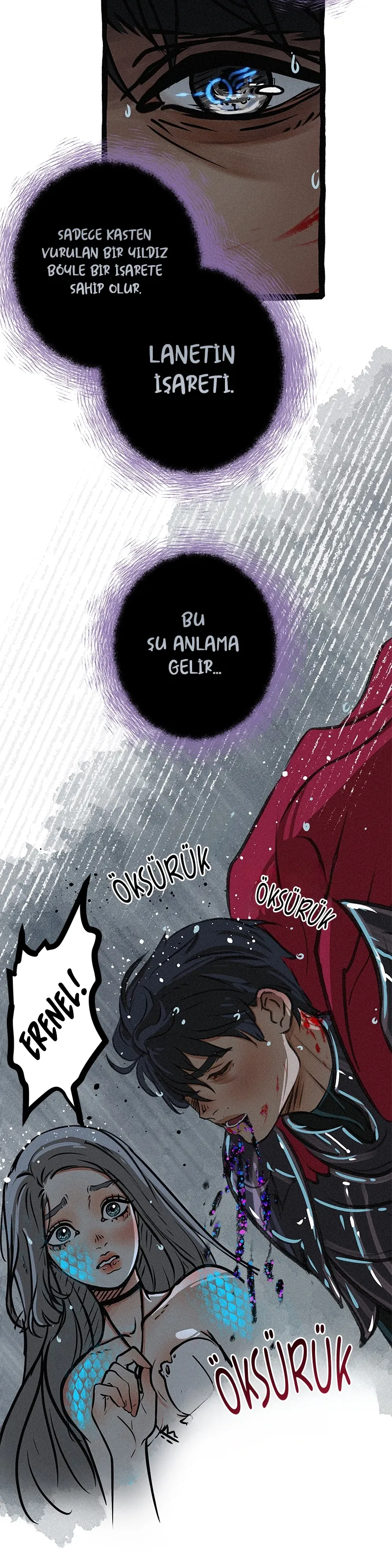 Sayfa 5