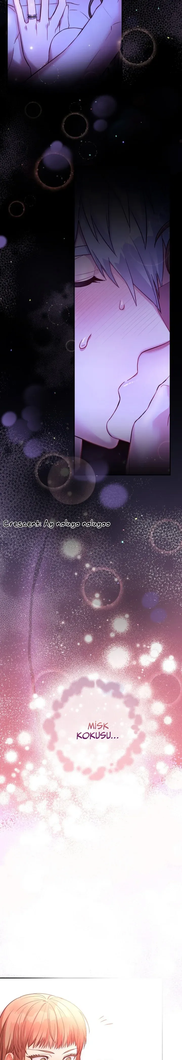 Sayfa 5