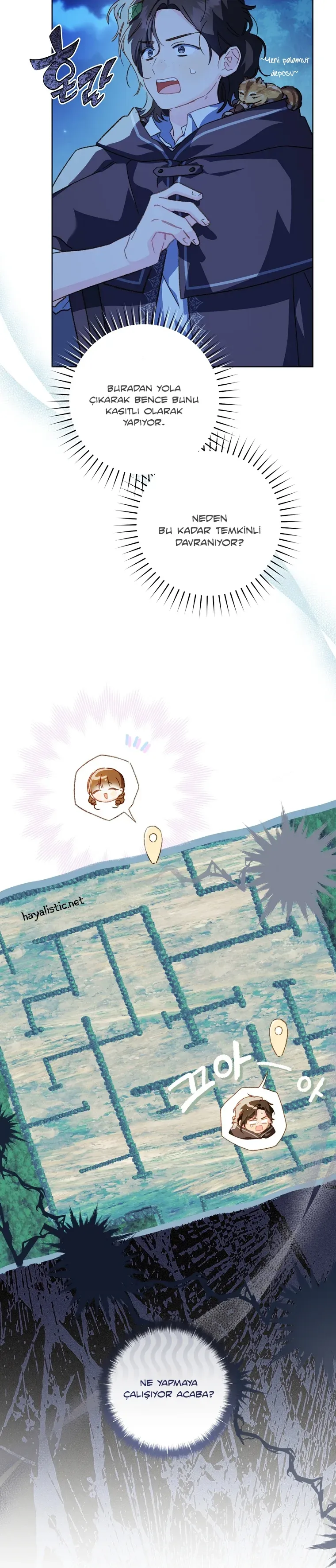 Sayfa 6